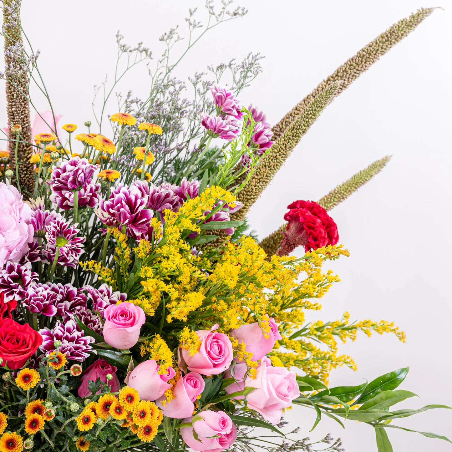 Blush and Flame red and pink floral arrangement with red roses and pink blooms in premium container by House of Mograa