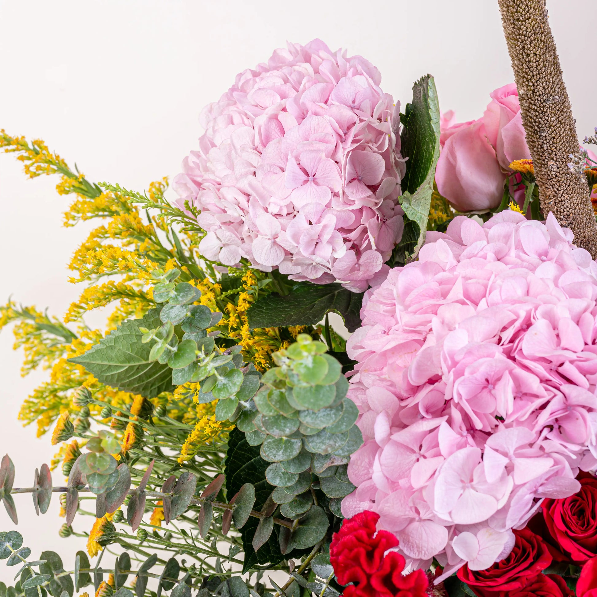 Blush and Flame red and pink floral arrangement with red roses and pink blooms in premium container by House of Mograa