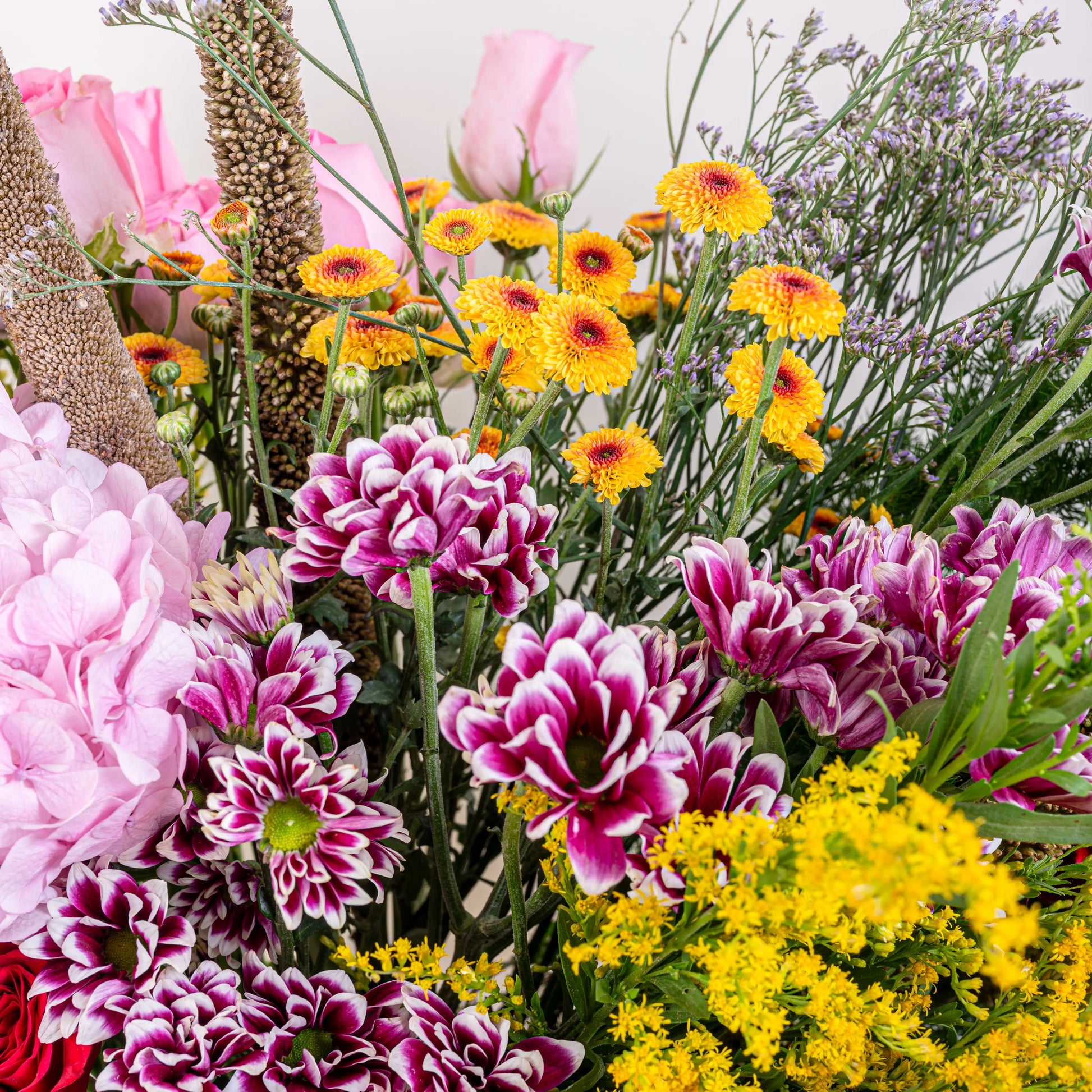 Blush and Flame red and pink floral arrangement with red roses and pink blooms in premium container by House of Mograa
