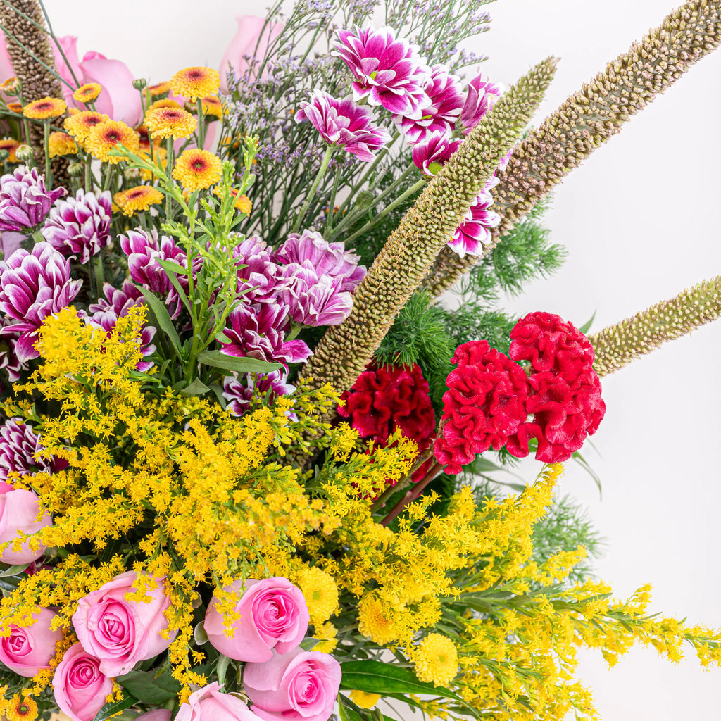 Blush and Flame red and pink floral arrangement with red roses and pink blooms in premium container by House of Mograa