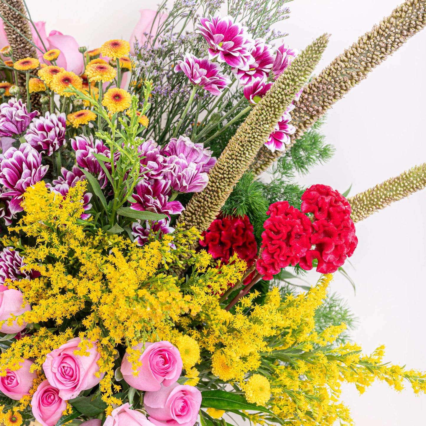 Blush and Flame red and pink floral arrangement with red roses and pink blooms in premium container by House of Mograa