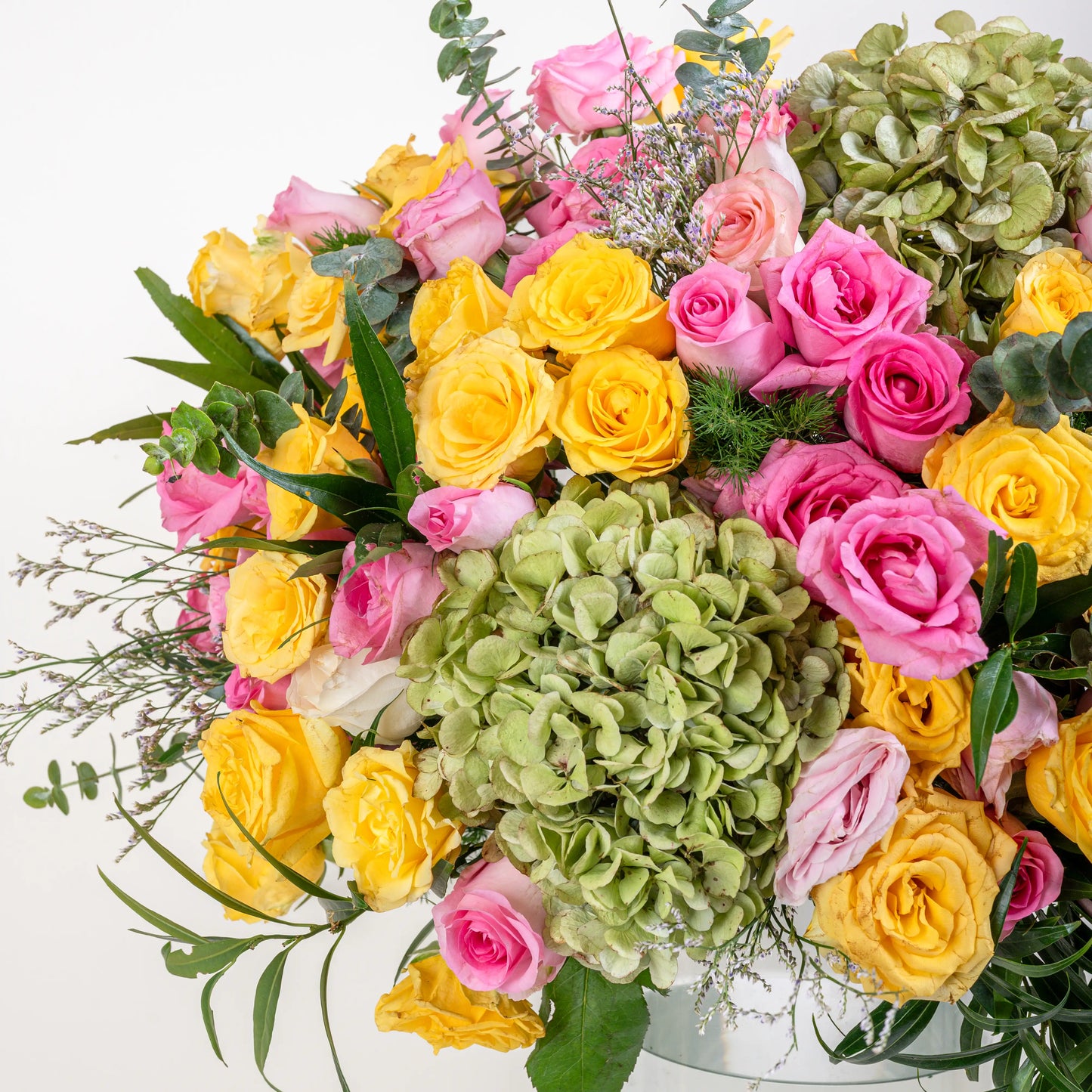 Mograa Rose wit Pot