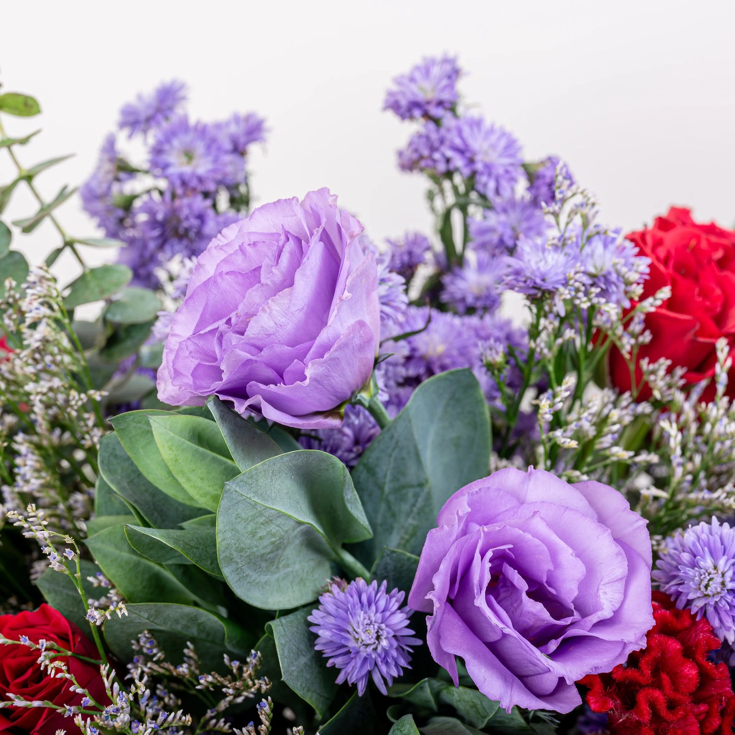 roses