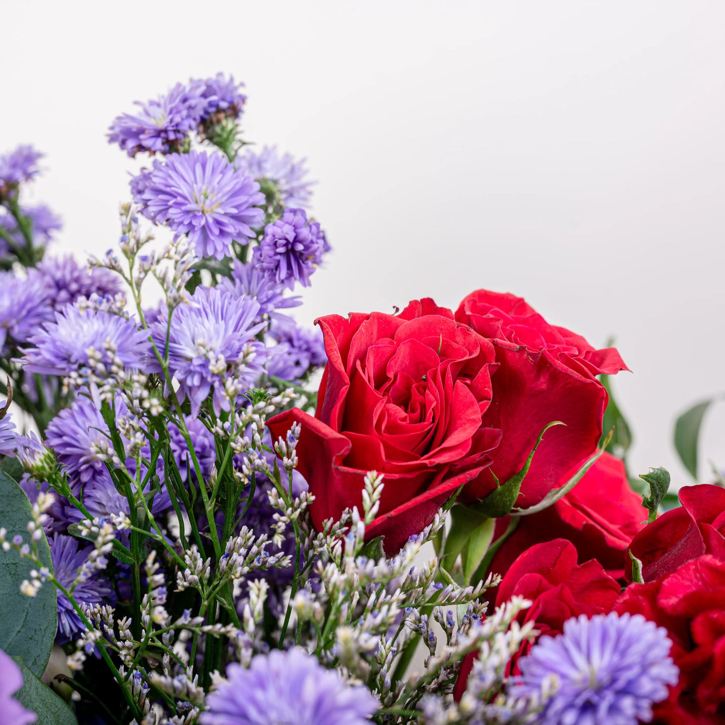 roses