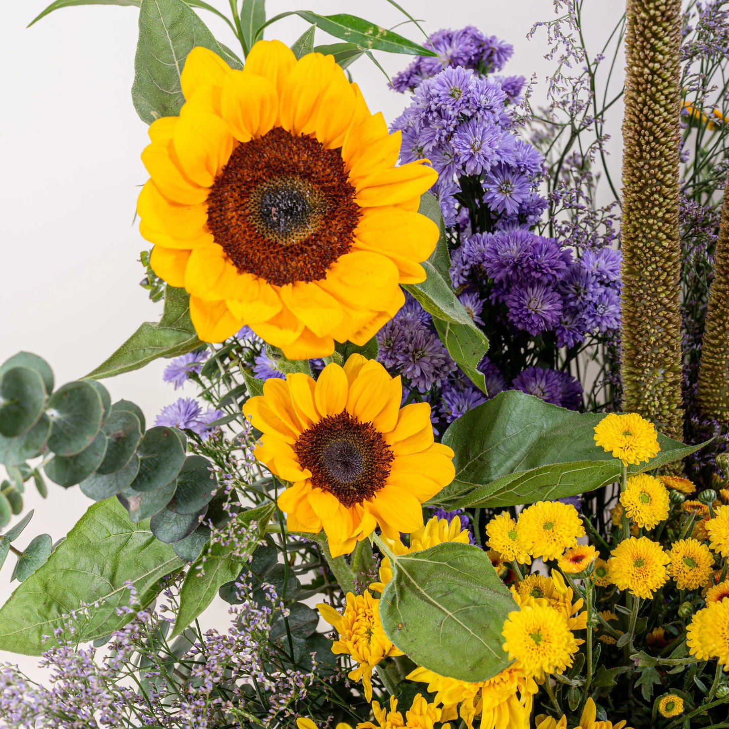 basket sunflower