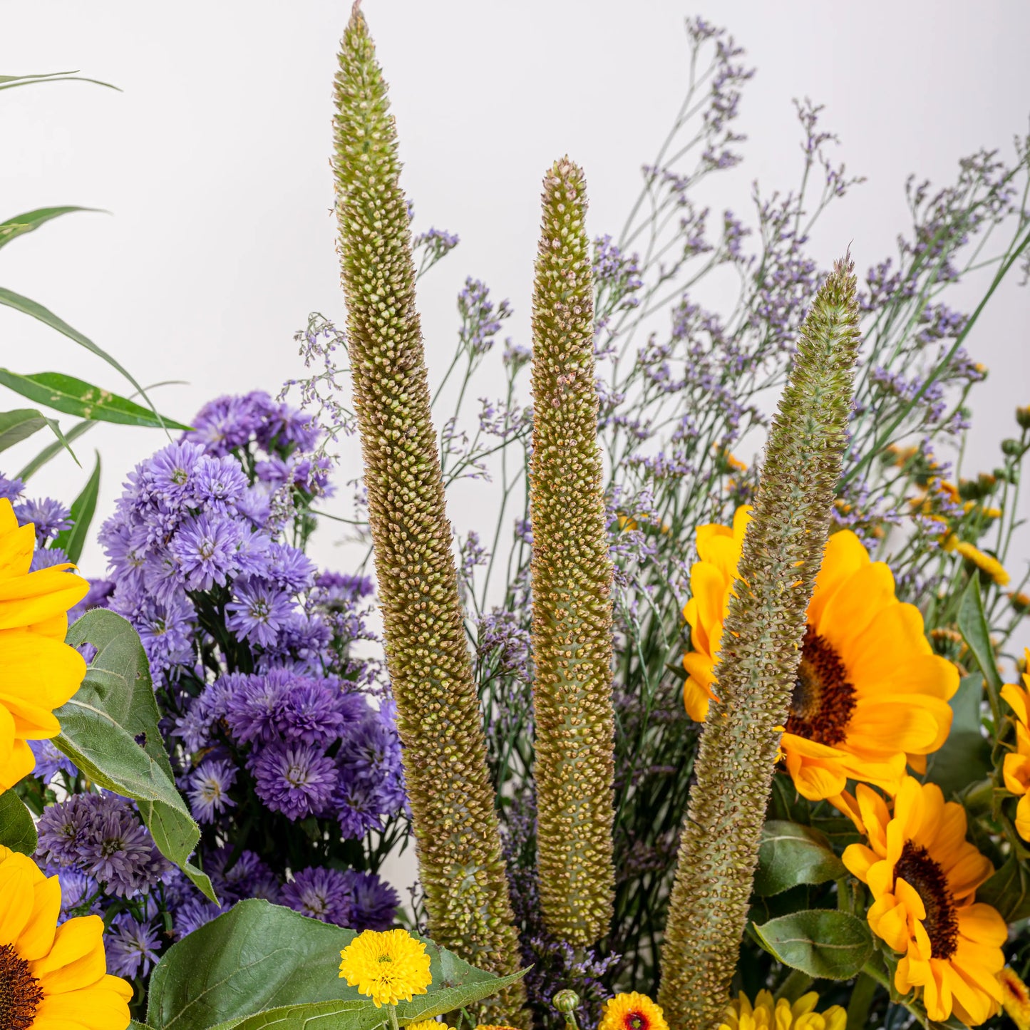 basket sunflower