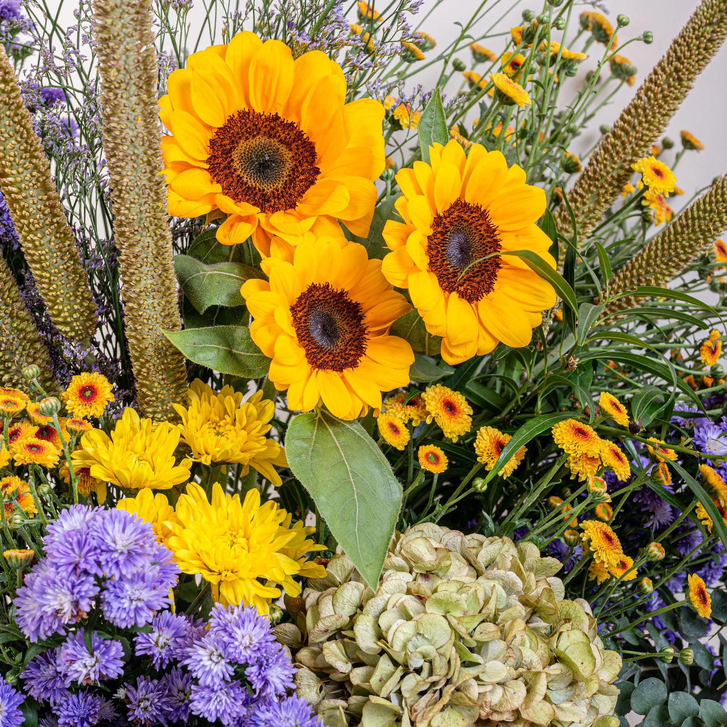 basket sunflower