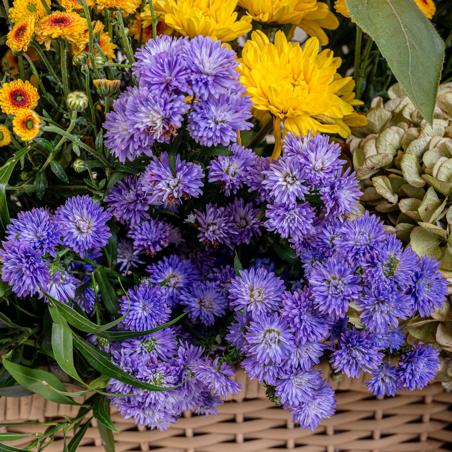 basket sunflower