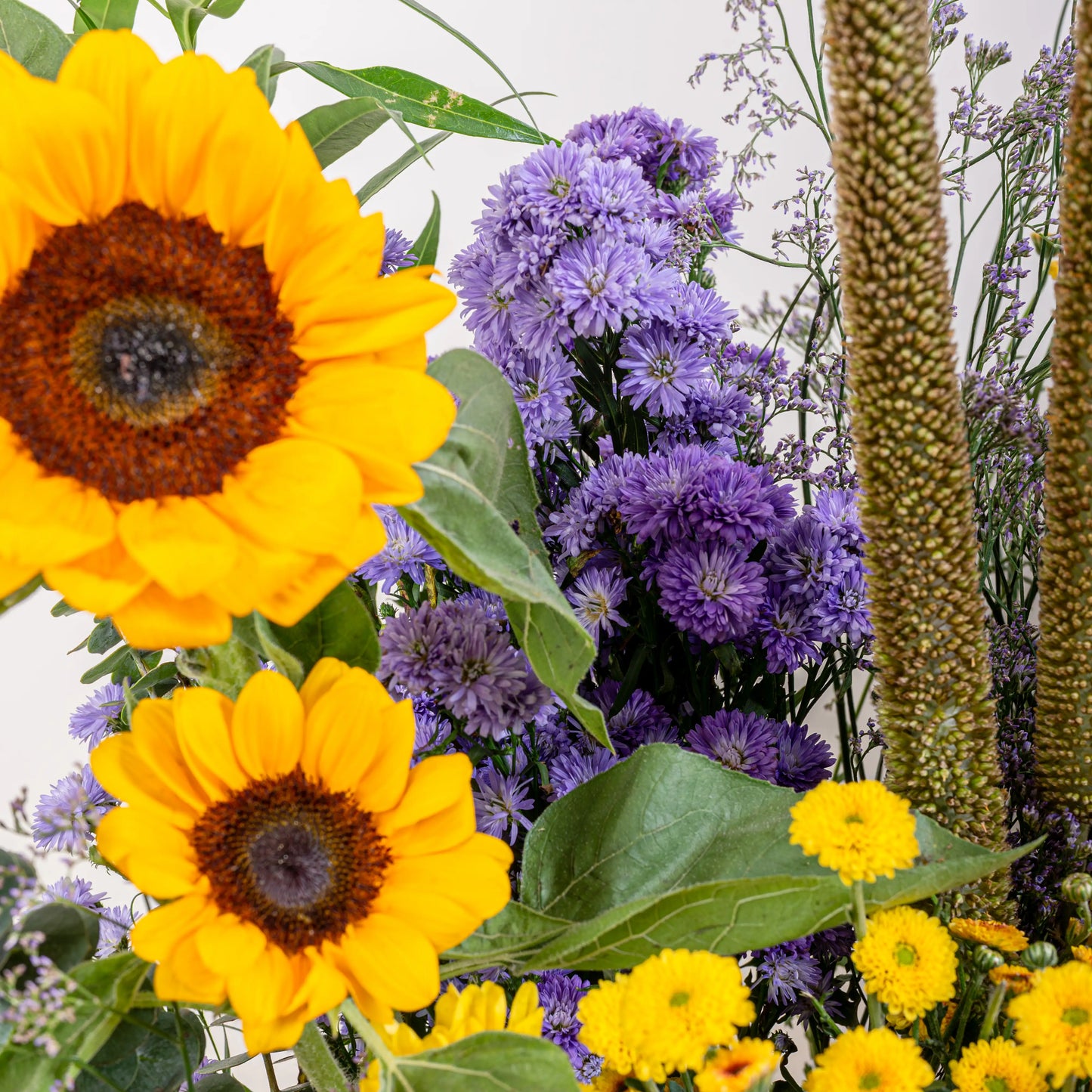 basket sunflower
