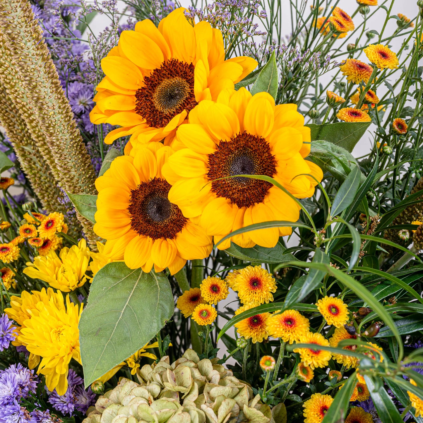 basket sunflower