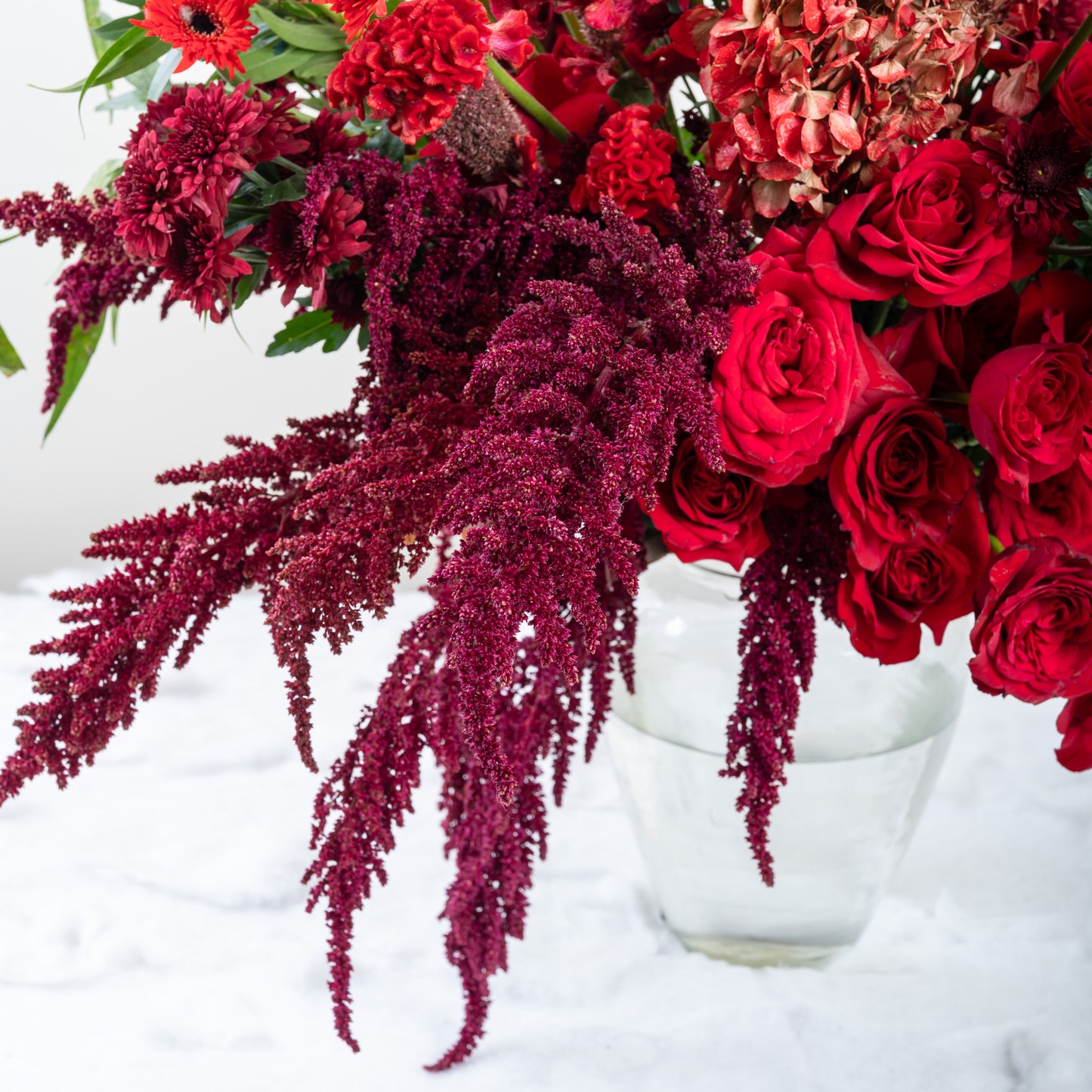red enthurium