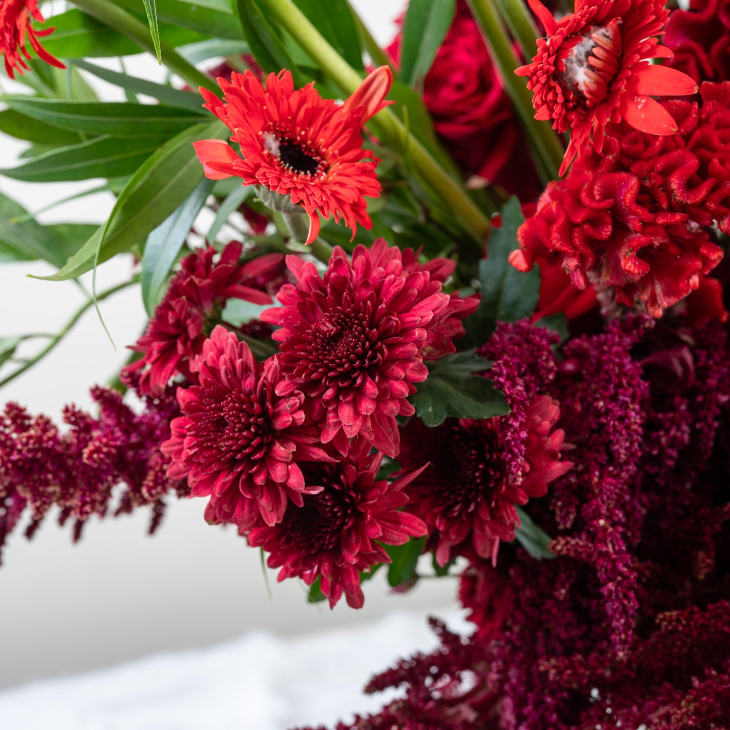 red enthurium