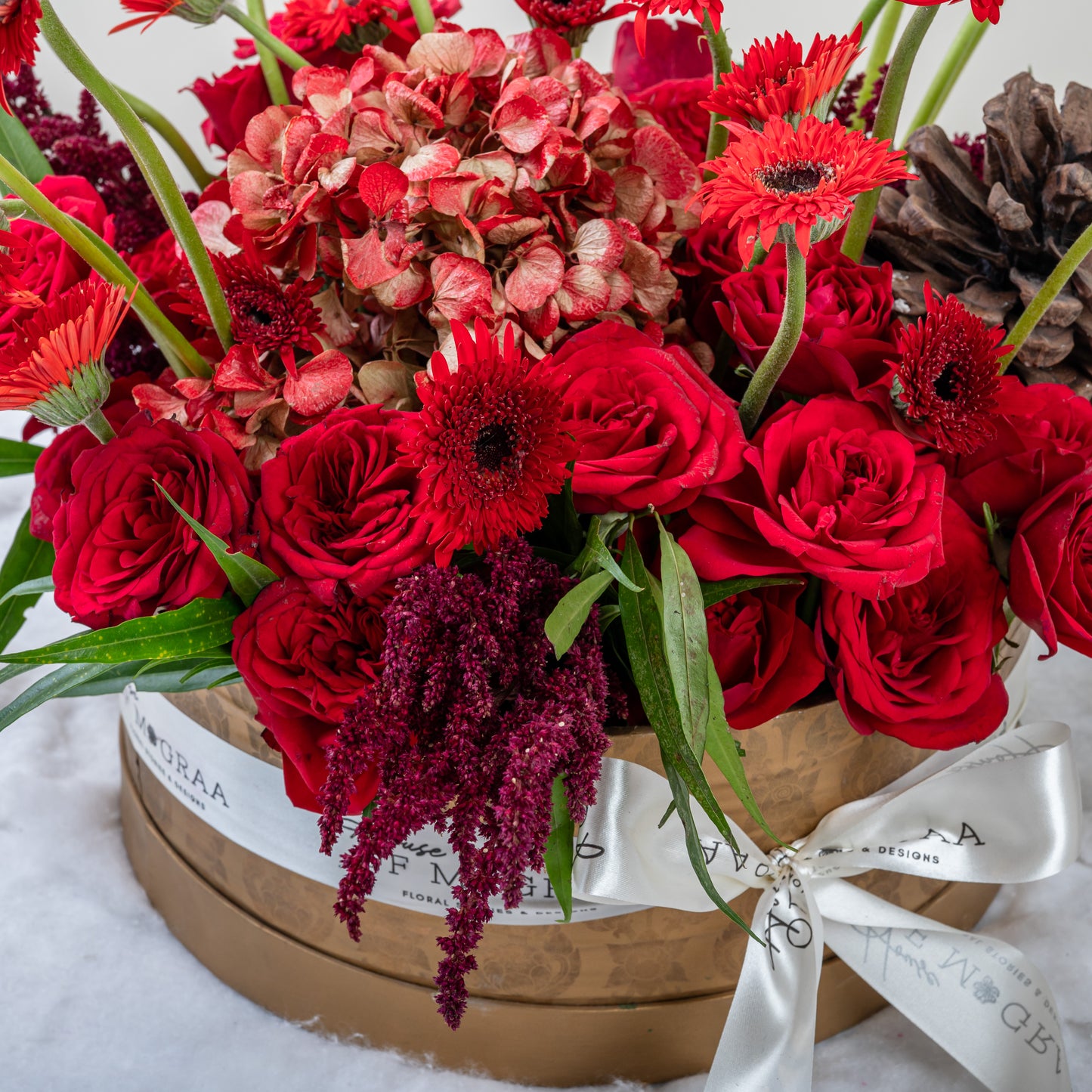 red round rose