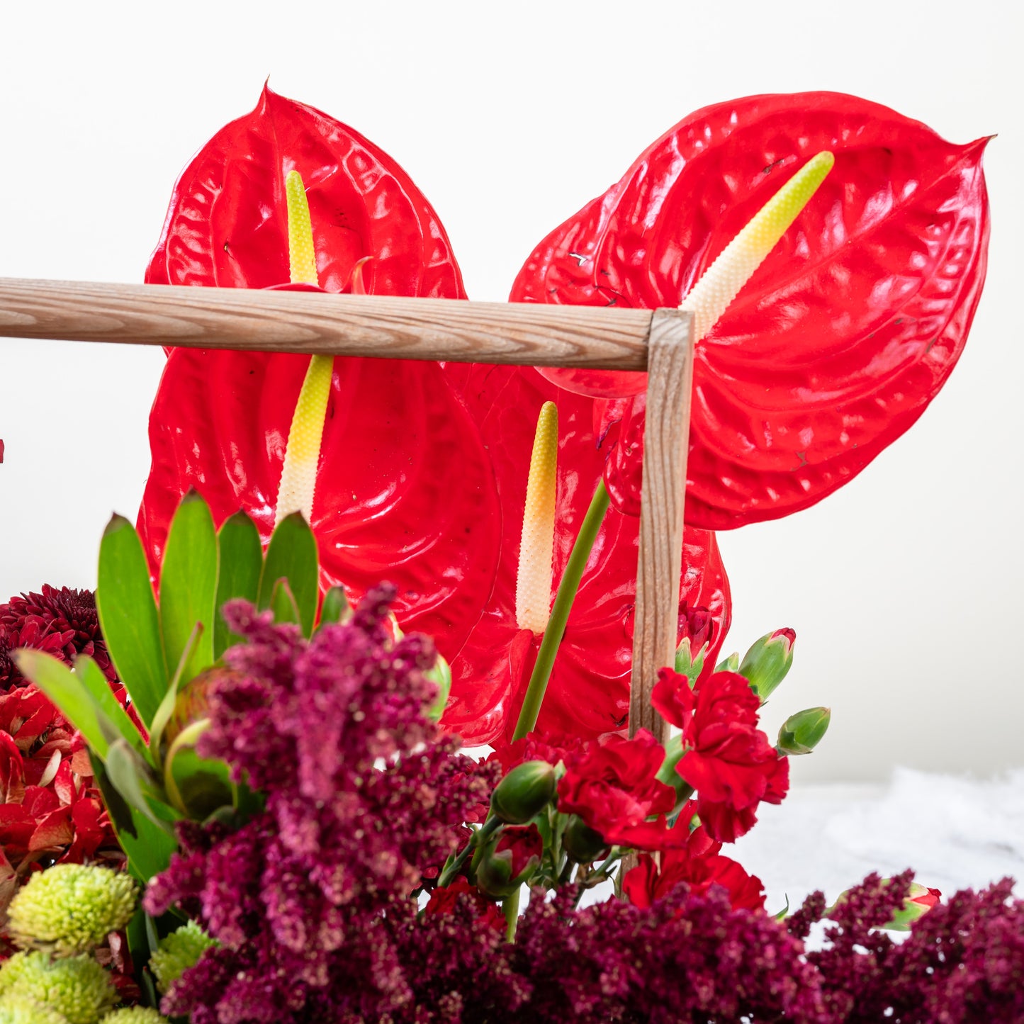 rose anthurium yellow