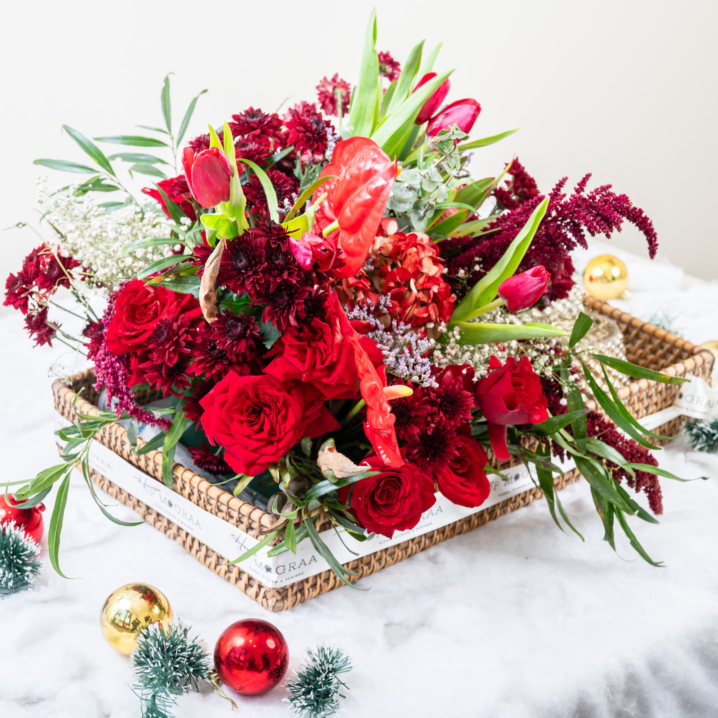 redroses pot christrmas