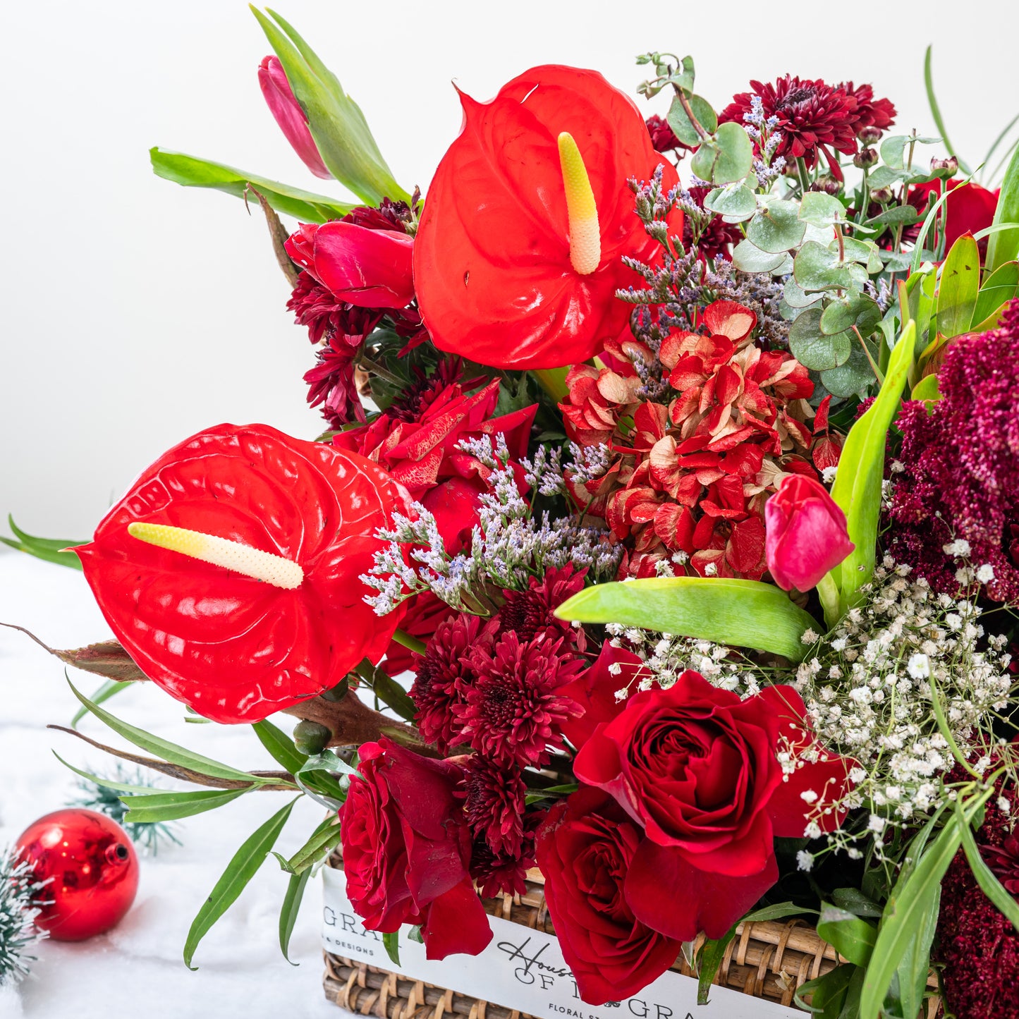 redroses pot christrmas