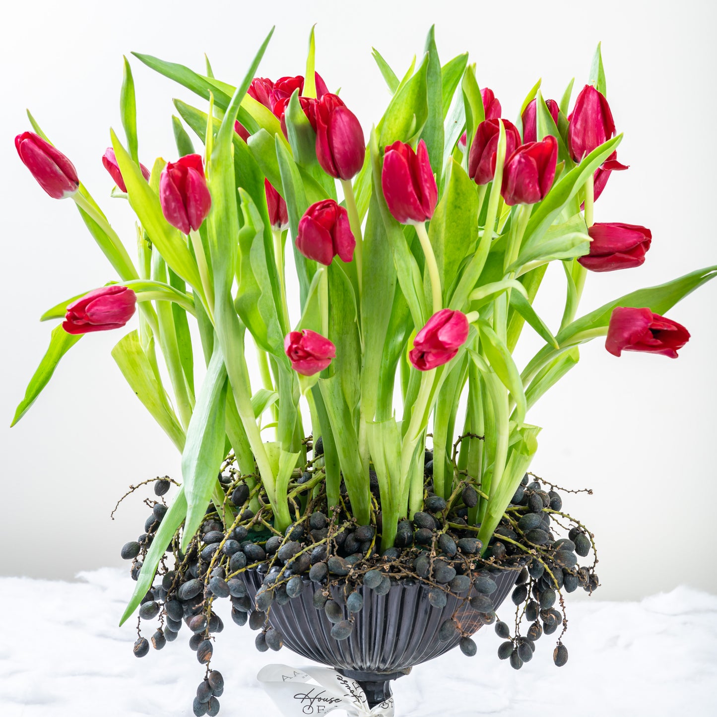red tulips