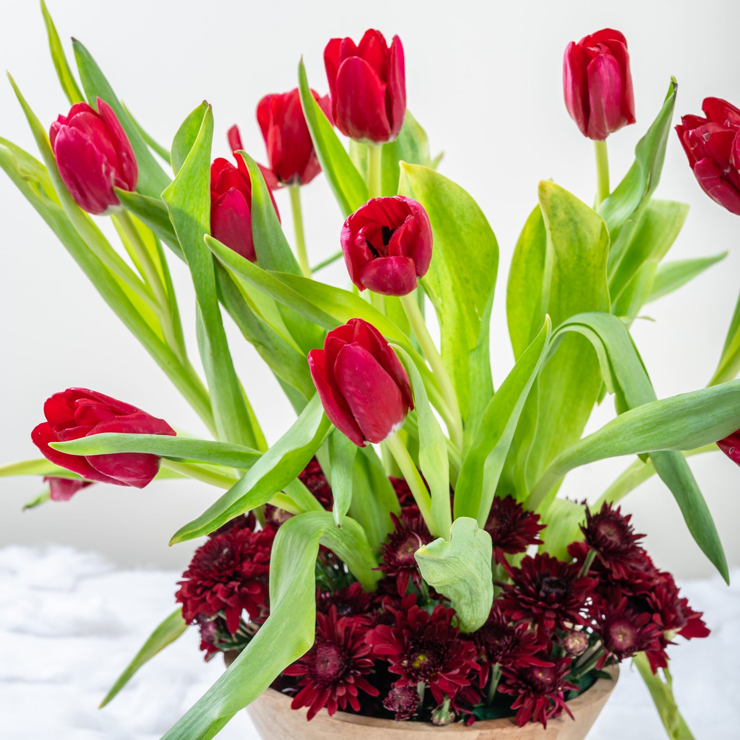 red tulips
