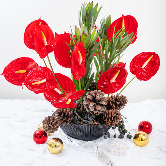 red anthurium only