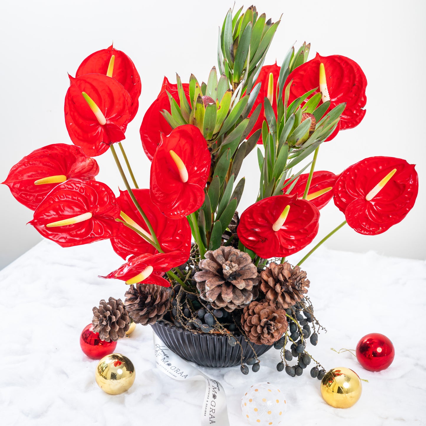 red anthurium only