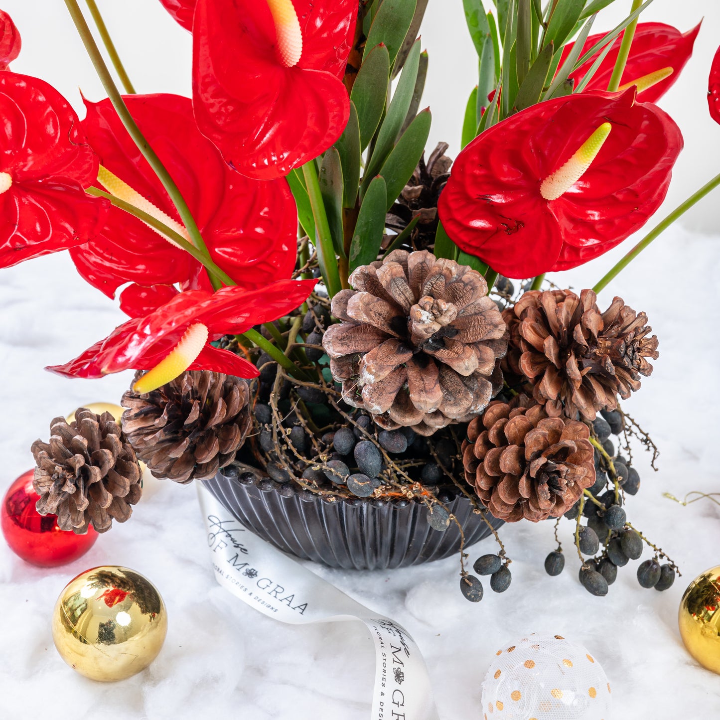 red anthurium only