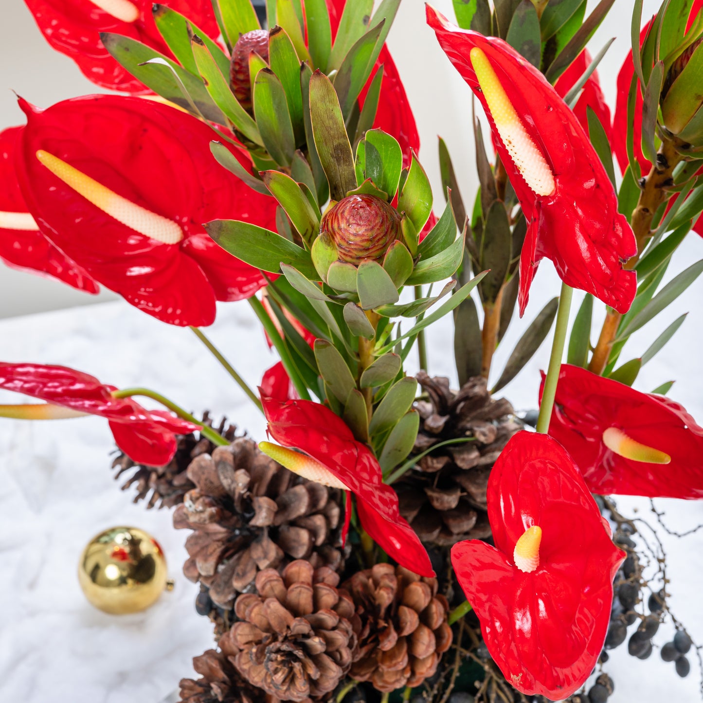 red anthurium only