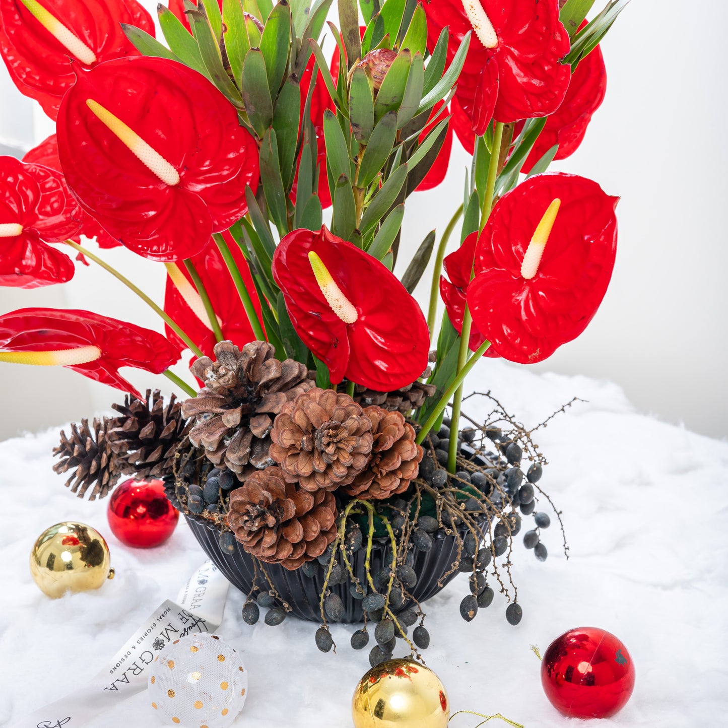 red anthurium only