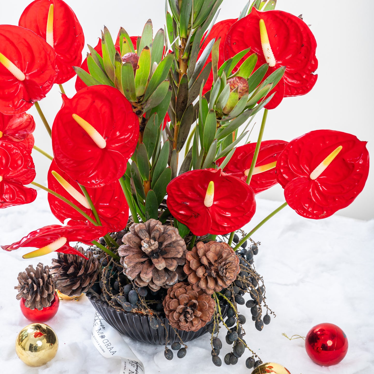 red anthurium only